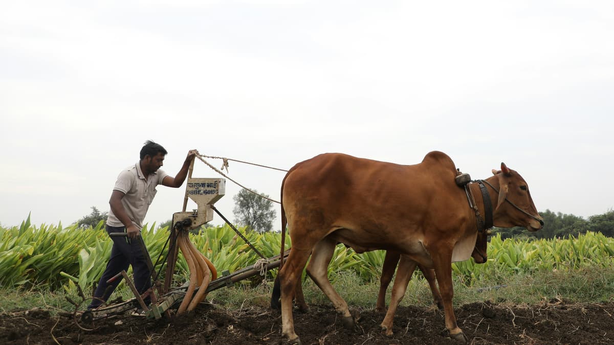 Maharashtra Krushi Sevak Bharti Exam Preparation